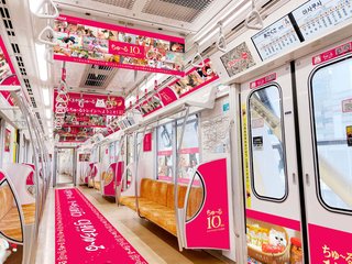 猫のおやつ「ちゅ～る」10周年記念　にゃんこ電車が東京メトロをジャック