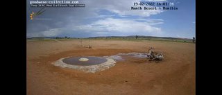 砂漠に設置された人工水飲み場を見守るライブカメラ配信が癒されると話題