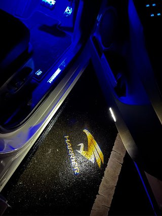 今の車って夜にドア開けたらマーク地面に出るんだね