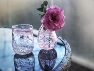 NEW    松居一代様を斬る