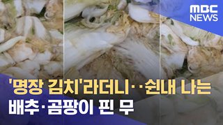 韓国が開発した｢豆腐バー｣､日本コンビニ最高のヒット商品になり､セブンイレブンで全国発売開始