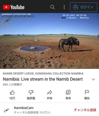砂漠に設置された人工水飲み場を見守るライブカメラ配信が癒されると話題