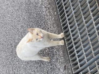 &#x{11:F8E2};なんでもいｰから&#x{11:F8E2};