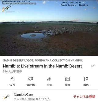 砂漠に設置された人工水飲み場を見守るライブカメラ配信が癒されると話題
