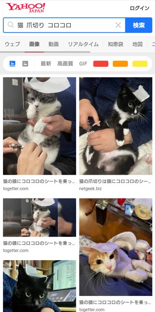 猫の爪切りがスムーズに出来る裏ワザまじで凄い
