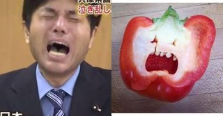 野々村議員に抱かれたいです。