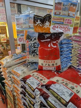 鹿児島 【総合】