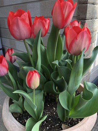 &#x{11:F8E2};なんでもいｰから&#x{11:F8E2};