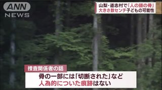 1年半前に行方不明になった山梨県キャンプ場の女の子、未だ見つからない