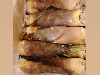 NEW    松居一代様を斬る