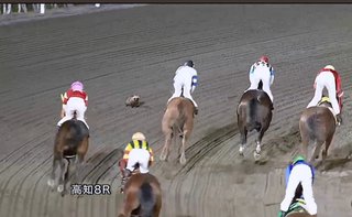 【競馬】レース後に「たぬき」侵入、あわや競走馬と衝突　人馬狸みな無事も...高知競馬は対策検討