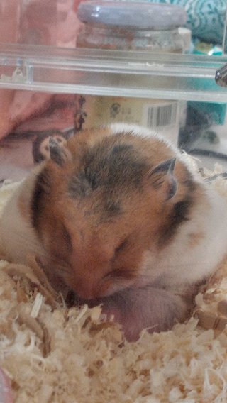 &#x{11:F8E2};なんでもいｰから&#x{11:F8E2};