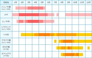 今日、クシャミ、鼻水ヤバくない？