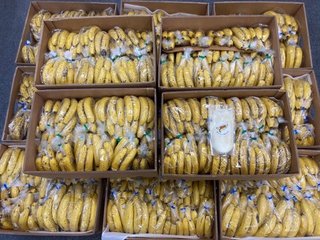 「助けて下さい」発注予定の10倍の数のバナナを仕入れたにも関わらず、まさかの開店初日で完売！ 