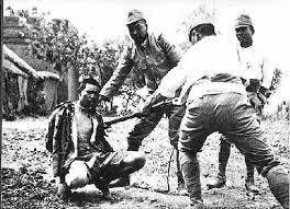 金曜日の「海自カレー」支給対象外なのに3年間食べ続ける…部下にも黙認 50代男性自衛官を懲戒処分