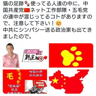 れいわ新選組　参院比例代表に社民党離党のキム･テヨン氏擁立