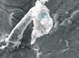 3社のC19ワクチンが、セシウムをはじめとした沢山の金属粒子で汚染されていることを発見