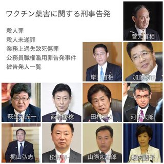 先日、厚労省の医薬品等行政評価・監視委員会にて、厚労省がワクチンについて事実上の薬害を認めました