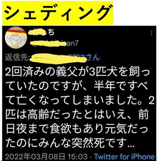 ワクチン打った義父のせいで3匹犬   突然死