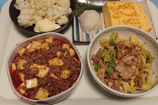 お昼のお昼ごはん