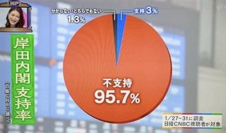 毒ワクチン政権、岸田内閣支持率    不支持 95.7% ww 