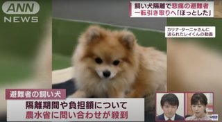 【狂犬病は存在しない】狂犬病ワクチンは毒ワクチンを接種させようとする 小細工だよ