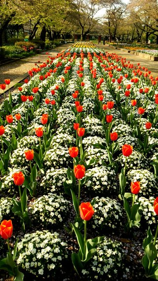 &#x{11:F8E2};なんでもいｰから&#x{11:F8E2};