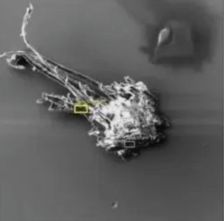 カナダの研究者が、Covidワクチンにカーボンナノテクとツリウム(放射線)を発見 