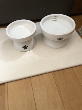 猫について何でもどうぞ【ねこ総合】