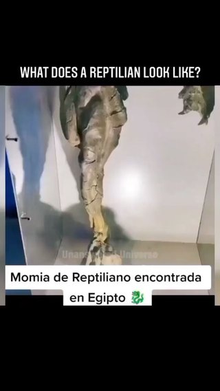 エジプトで発見されたミイラ！ 多次元的 爬虫類