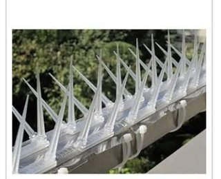 道路族が嫌いな人