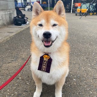 フジ【ナンバMG5】毎週水曜２２時