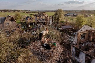 【速報】第三次世界対戦勃発！ロシアがウクライナ進攻へ！
