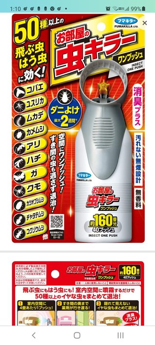 ムカデがまた来そうで眠れない