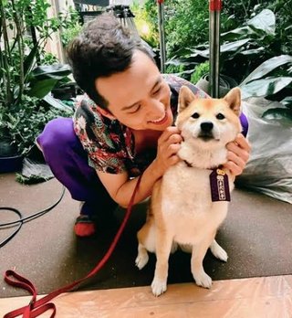 フジ【ナンバMG5】毎週水曜２２時