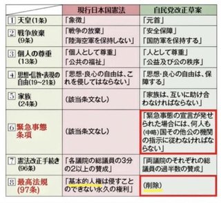 改憲後の日本 、警察が鈍器で頭蓋骨を損傷させている