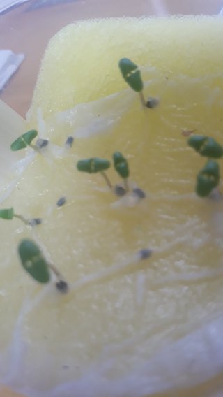 ≪チラ裏≫独り言