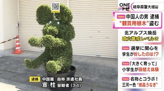 【岐阜】造園会社からネズミ型”に刈り込まれた「トピアリー」盗んだか 中国人の34歳男を逮捕 