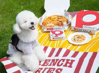 ピザーラが“犬用ピザ”販売へ、人気ピザ“テリヤキチキン”風のトッピング＆宅配サービスも受付