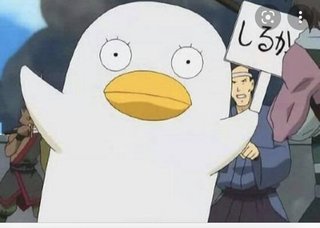 韓国「人口激減で、結局韓国は日本に負けることになる｣