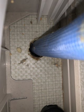 助けて、新築戸建ての賃貸なのにゴキブリでた