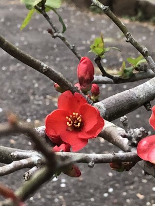 &#x{11:F8E2};なんでもいｰから&#x{11:F8E2};