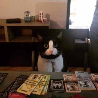 ちん○みたいな鳥が見つかる