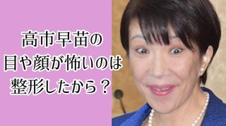 自民党参院候補山田宏議員『慰安婦』とは売春婦とした証拠が日本軍による強制連行の証拠だった