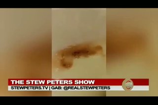 モデルナ接種後 の 30歳女性 動くオーガノイド (人工生命体) を 吐出