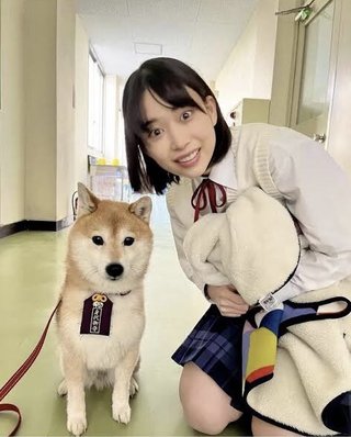 フジ【ナンバMG5】毎週水曜２２時