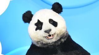 日テレ【ZIP！】月～金曜・前5：50～