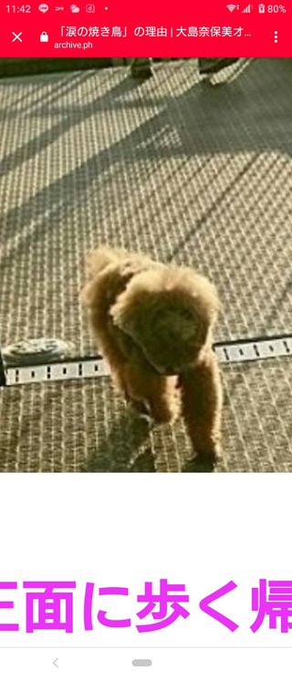 大島奈保美さん