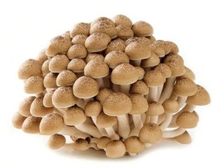 味しめじって言うけどさ