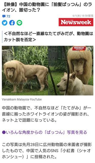 おいw誰だ切ったのw